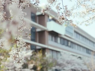 安喬專項基金